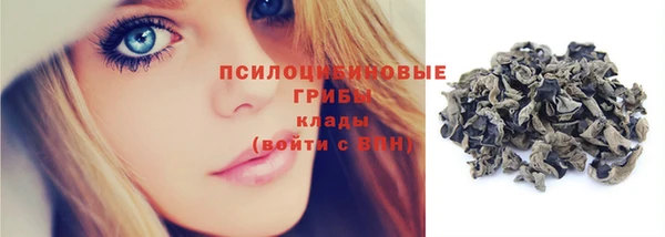 гидра Бутурлиновка