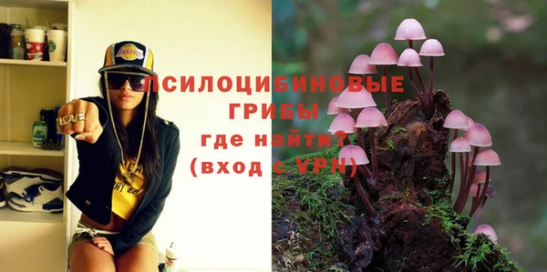 spice Абаза