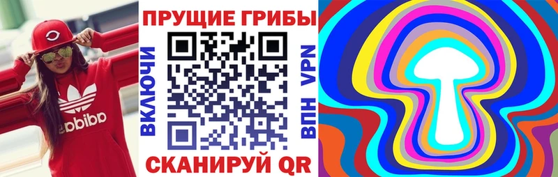 Псилоцибиновые грибы мицелий  купить   Кадников 